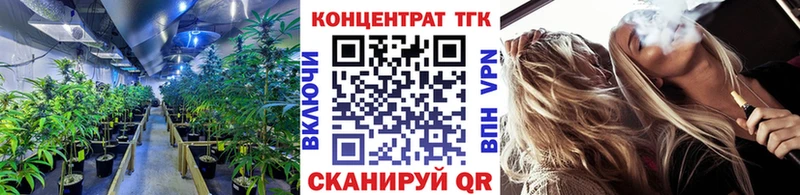 Дистиллят ТГК Wax  Енисейск 